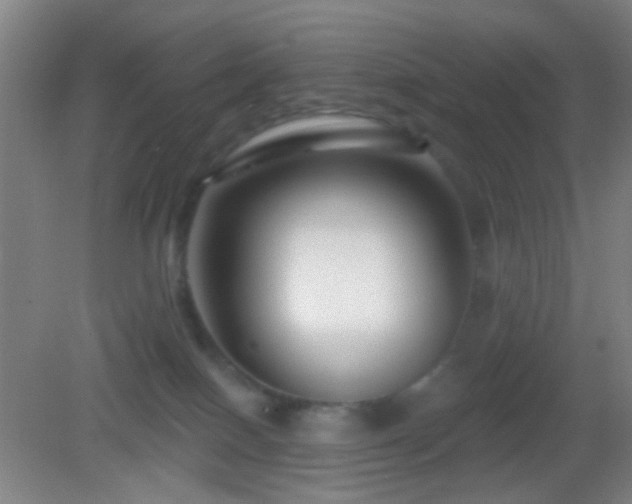 X0000082930086200702011251