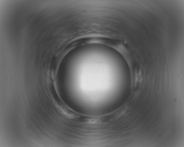 X0000082930088200702011251