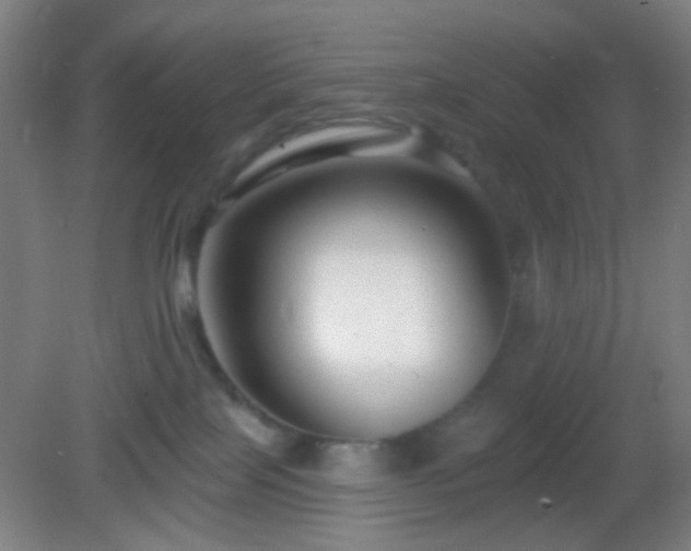 X0000082930089200702011251