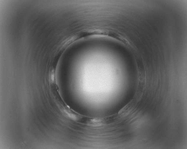 X0000082930095200702011251