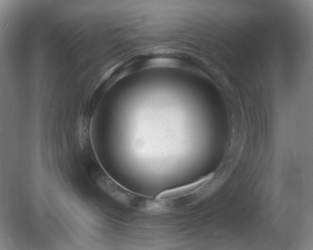 X0000082930096200702011251