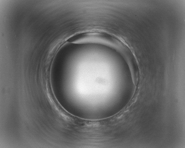 X0000082930097200702011250