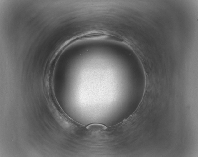 X0000082930098200702011250