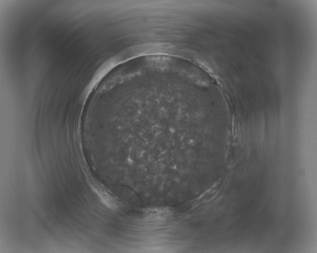 X0000082930099200702011250