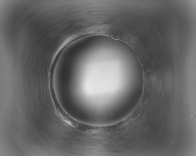 X0000082930100200702011250