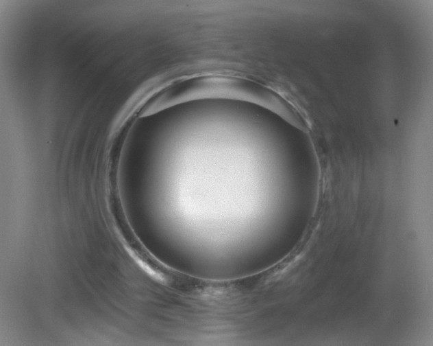 X0000082930101200702011250