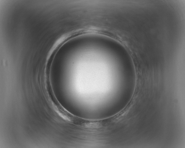 X0000082930102200702011250