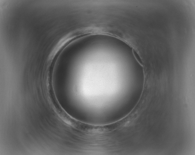 X0000082930103200702011250