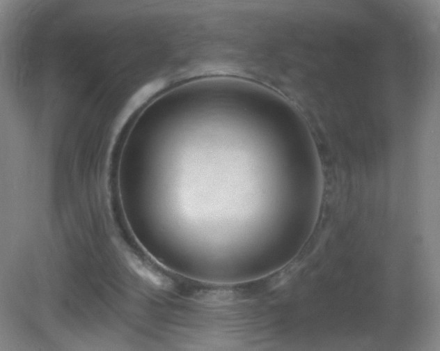 X0000082930104200702011250