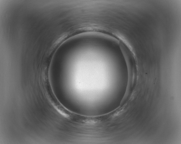 X0000082930105200702011250