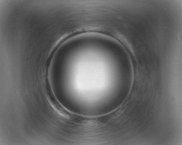 X0000082930107200702011250