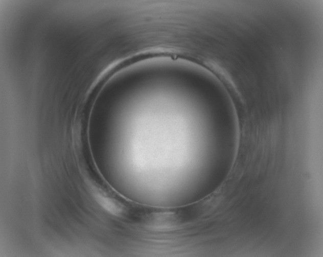 X0000082930108200702011250