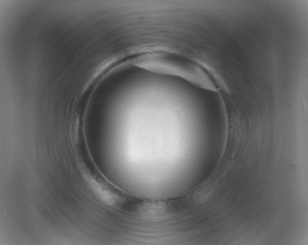 X0000082930110200702011250