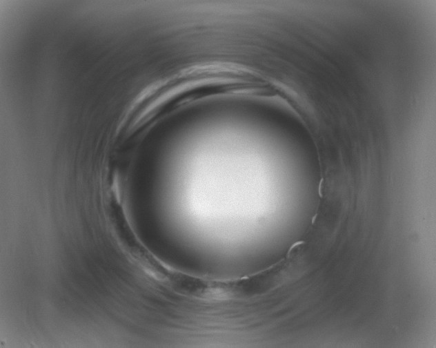 X0000082930111200702011250