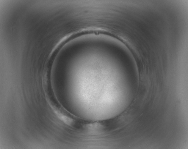 X0000082930112200702011250