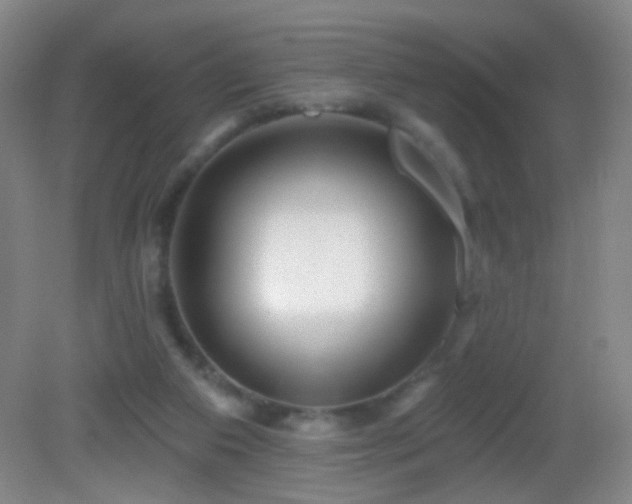 X0000082930113200702011250