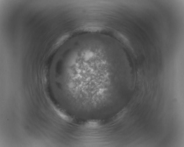 X0000082930114200702011250