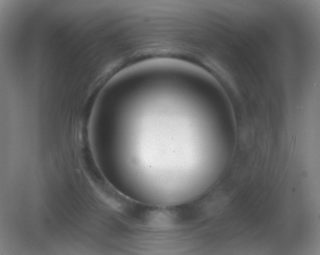 X0000082930115200702011250