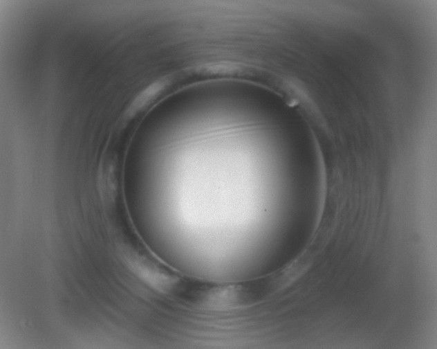 X0000082930116200702011250