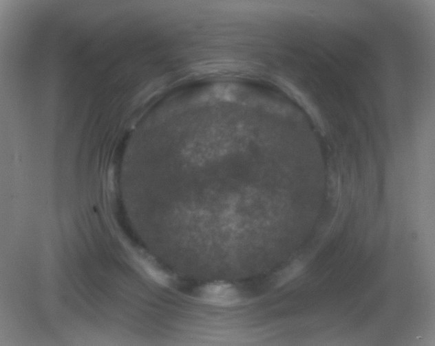 X0000082930117200702011250