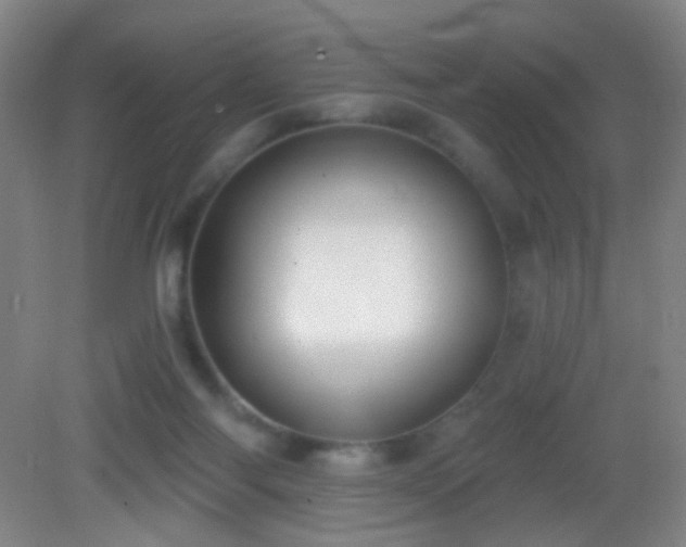 X0000082930118200702011250