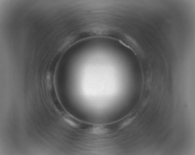 X0000082930121200702011250