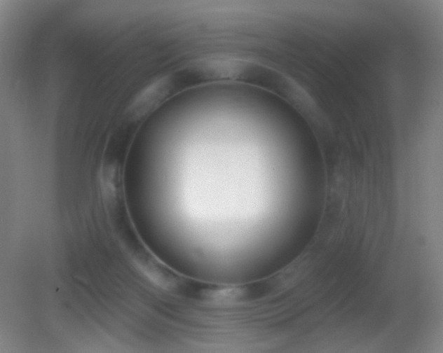 X0000082930122200702011250