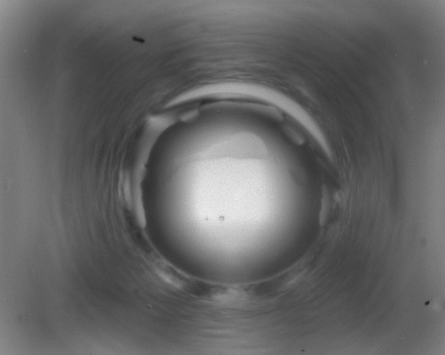 X0000082930125200702011250