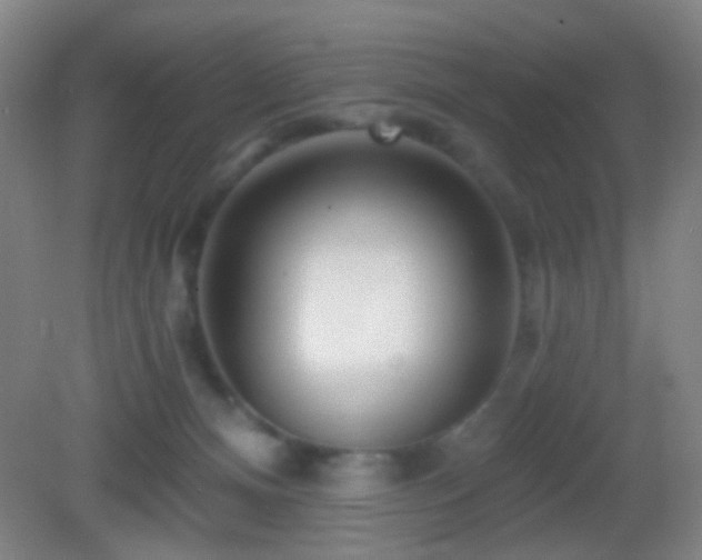 X0000082930128200702011250