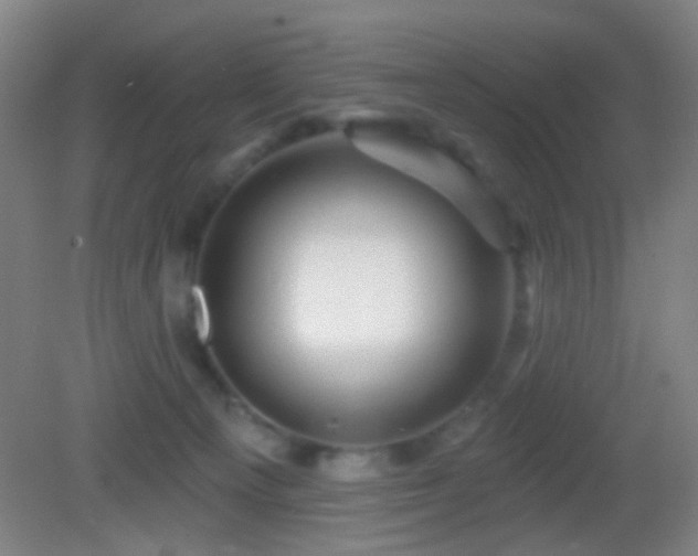 X0000082930129200702011250