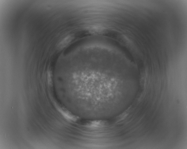 X0000082930130200702011250