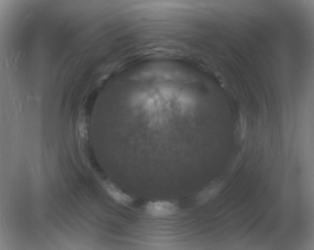 X0000082930137200702011249