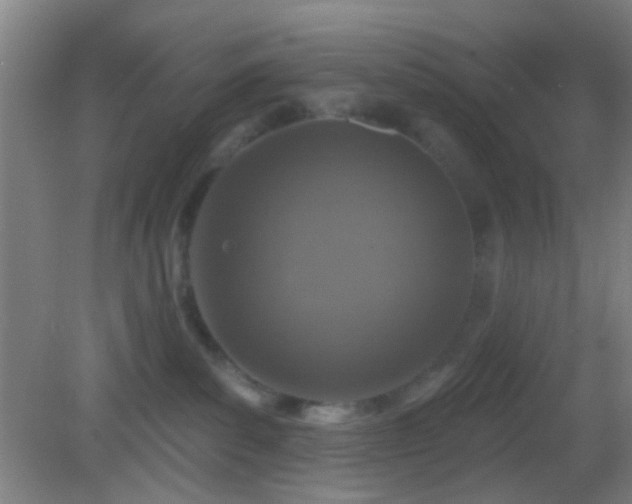 X0000082930139200702011249