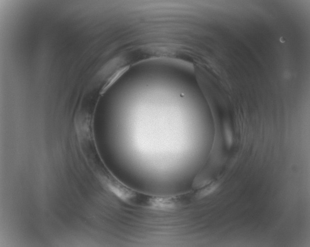 X0000082930141200702011249