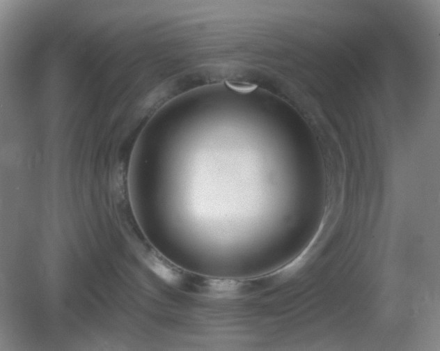 X0000082930144200702011249