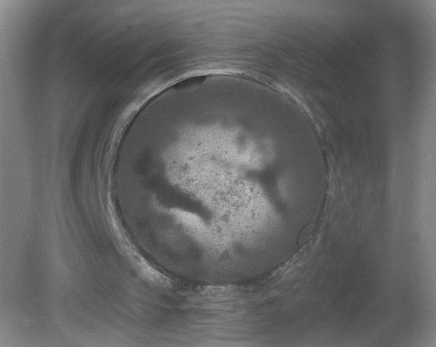 X0000082930145200702011249