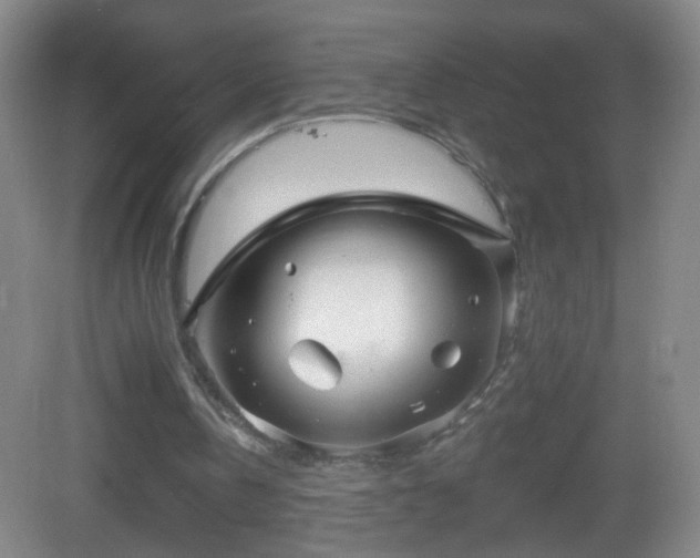 X0000082930146200702011249