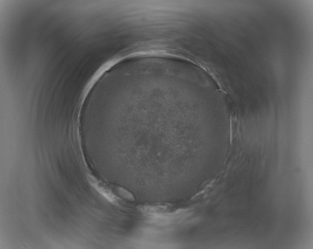 X0000082930147200702011249