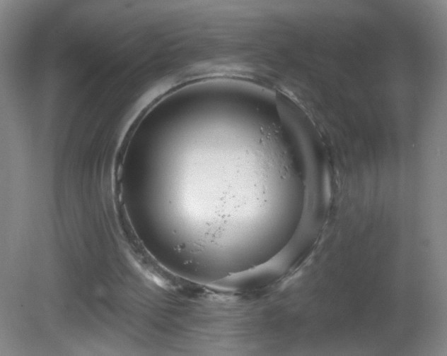 X0000082930148200702011249