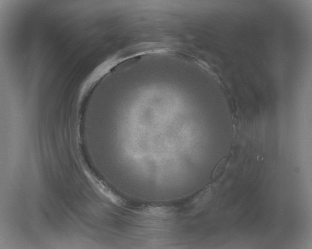 X0000082930149200702011249