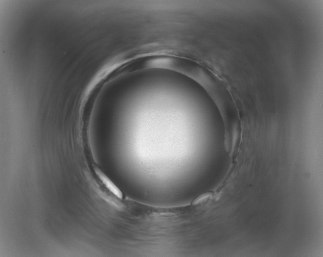 X0000082930150200702011249