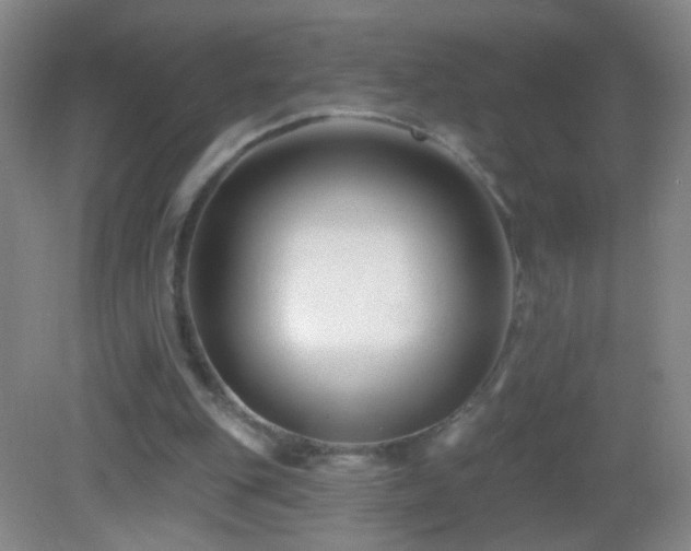 X0000082930151200702011249