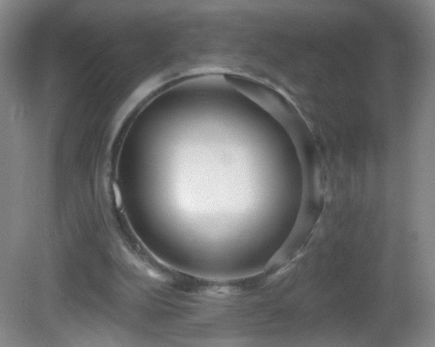 X0000082930152200702011249