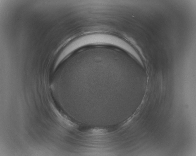 X0000082930154200702011249