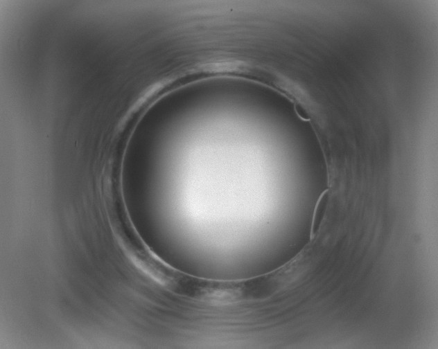 X0000082930155200702011249