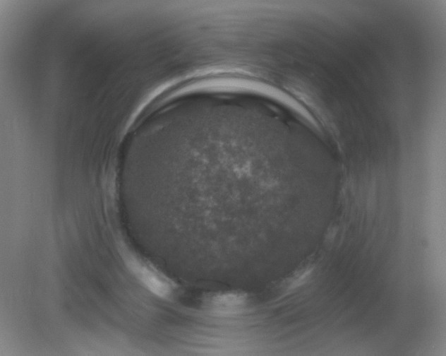 X0000082930156200702011249