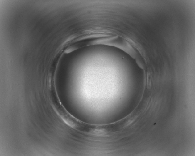 X0000082930157200702011249