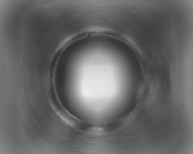 X0000082930159200702011249