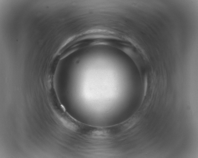 X0000082930160200702011249