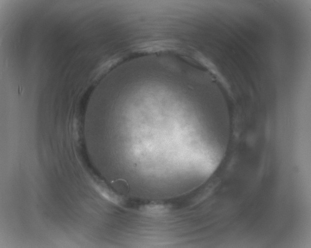 X0000082930161200702011249